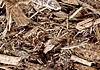 cypress mulch cypress mulch