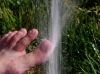 sprinkler sprinkler