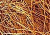 pine needles pine needles