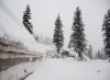 snow snow