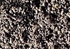 topsoil topsoil